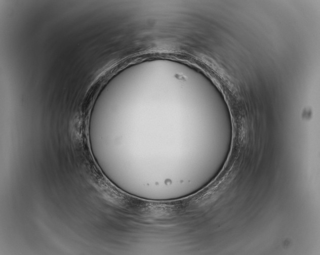 X0000097981258200803241251