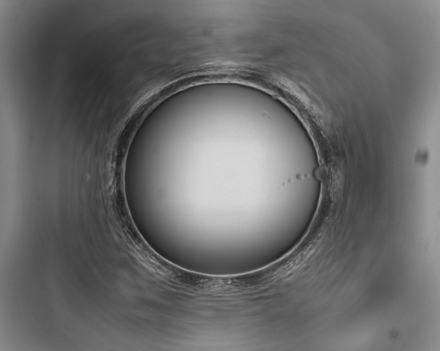X0000097981259200803241251