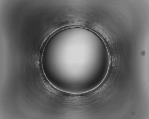 X0000097981260200803241251