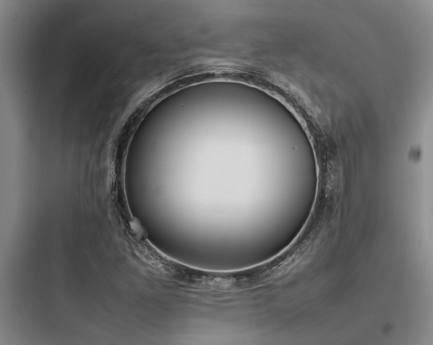 X0000097981261200803241251