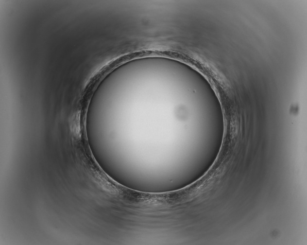 X0000097981262200803241251