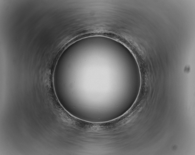 X0000097981265200803241251