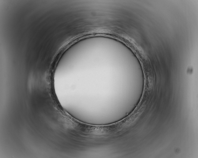 X0000097981266200803241251
