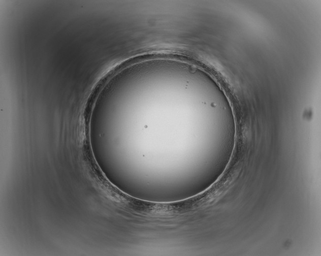 X0000097981267200803241251