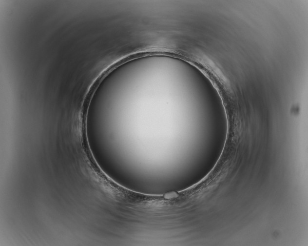 X0000097981268200803241251