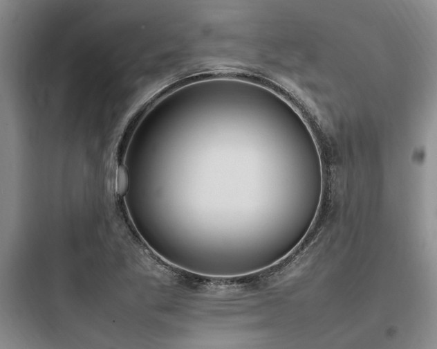 X0000097981269200803241251