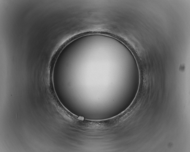 X0000097981270200803241251