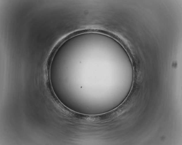 X0000097981271200803241251