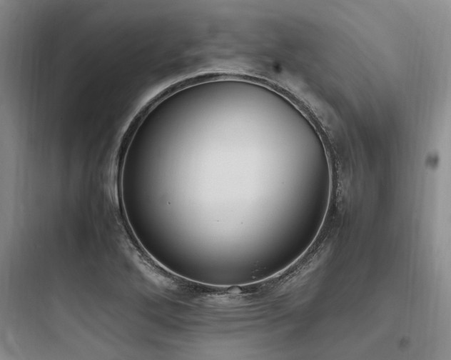X0000097981272200803241250