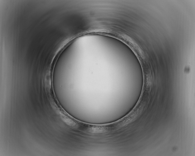 X0000097981274200803241250