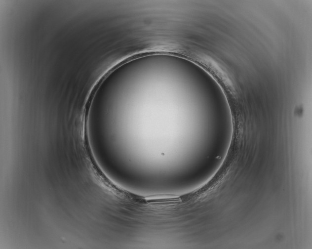 X0000097981276200803241250