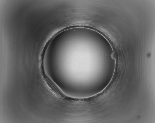 X0000097981277200803241250