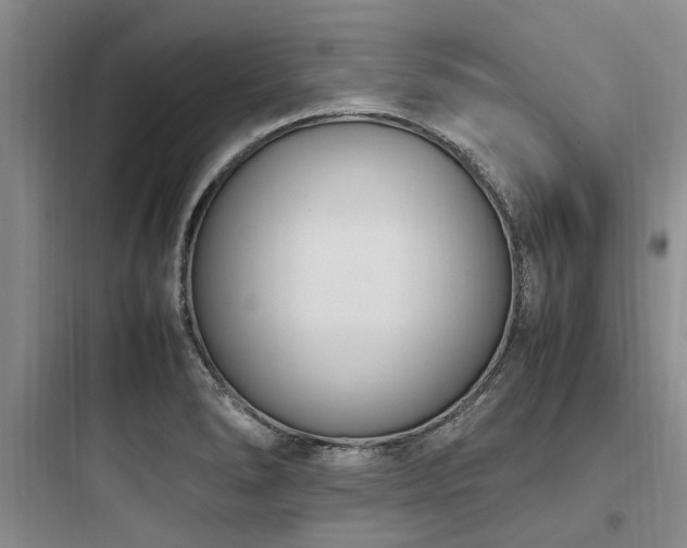 X0000097981278200803241250
