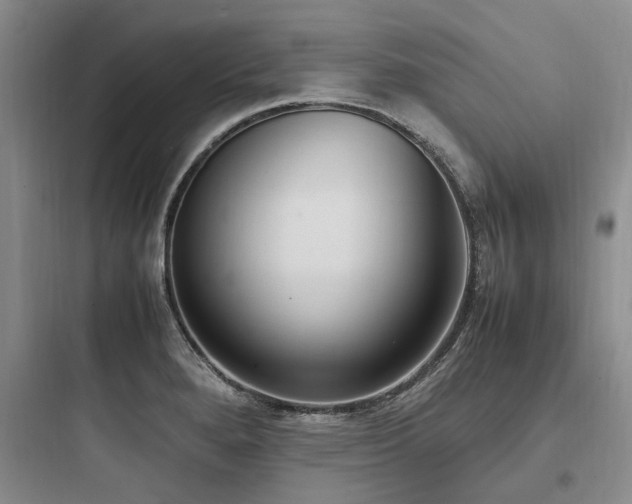 X0000097981280200803241250