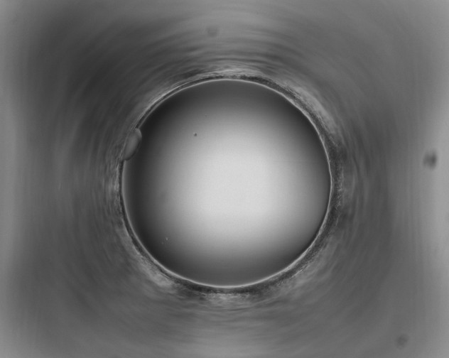 X0000097981281200803241250