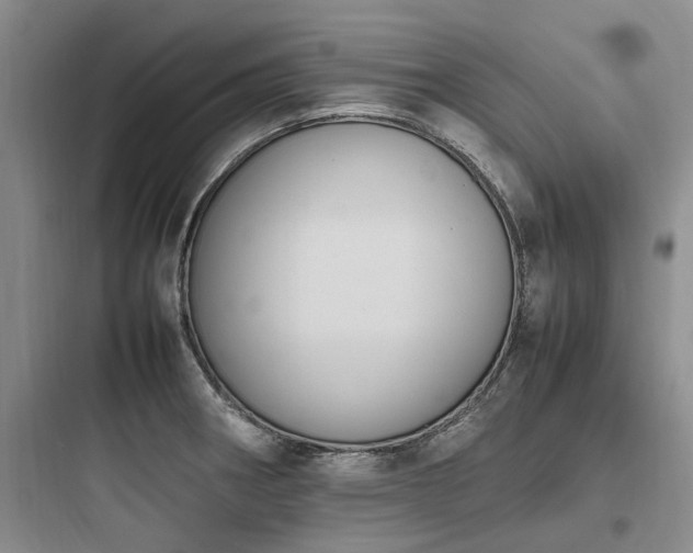 X0000097981282200803241250