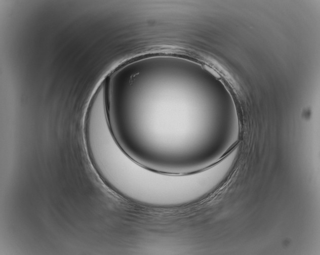 X0000097981283200803241250