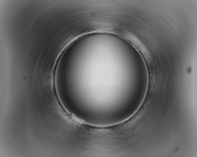 X0000097981284200803241250