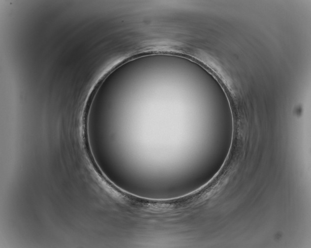 X0000097981285200803241250