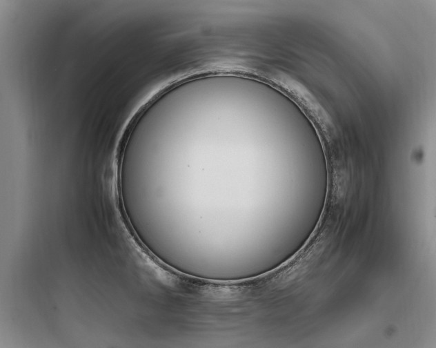 X0000097981286200803241250