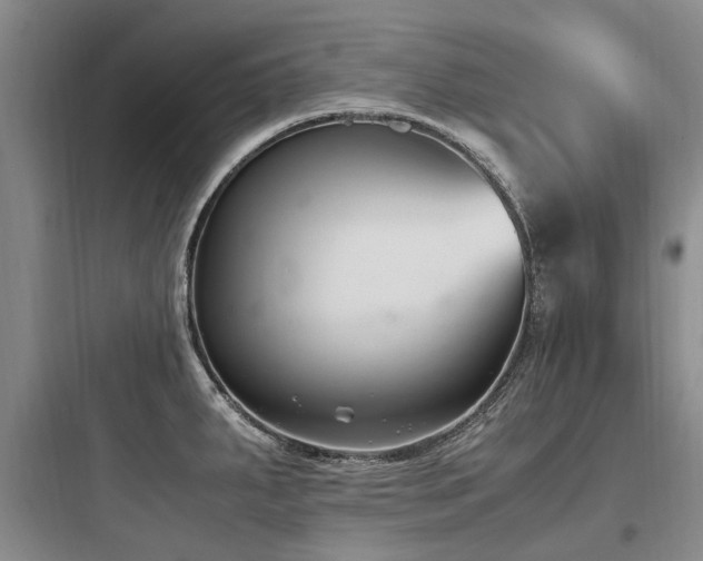 X0000097981287200803241250
