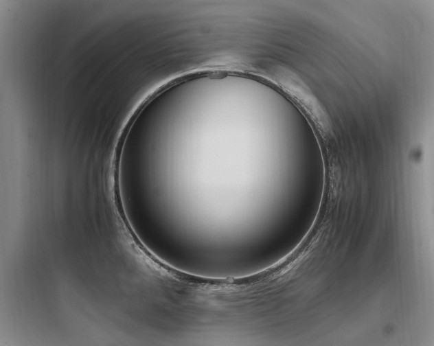 X0000097981288200803241250