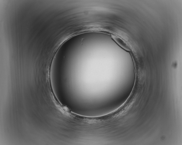 X0000097981289200803241250
