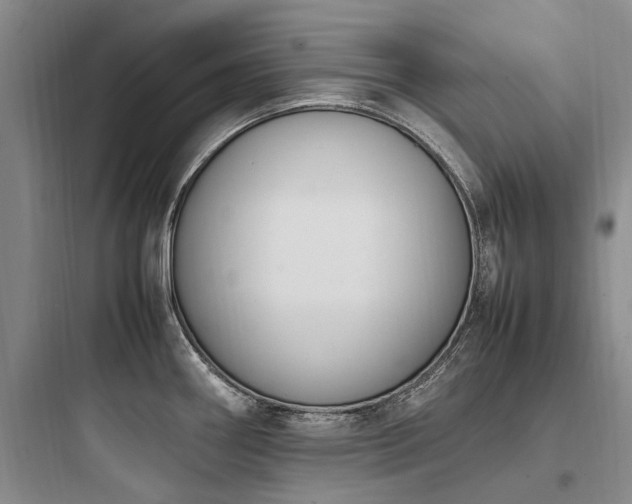 X0000097981290200803241250