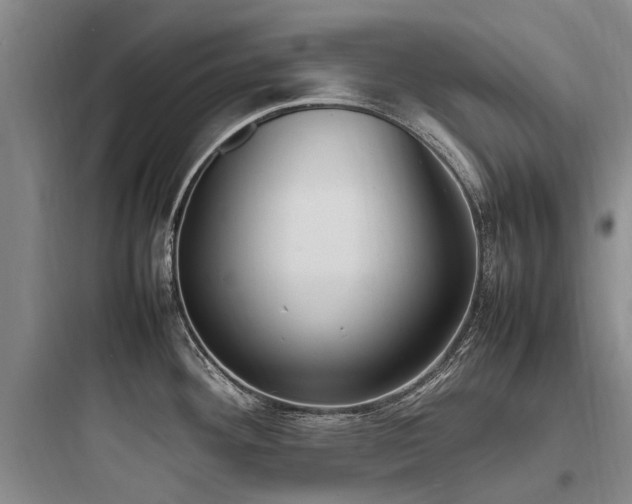 X0000097981292200803241250