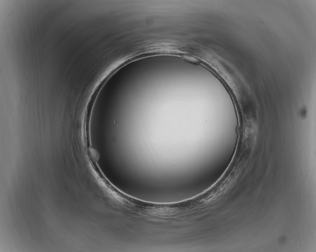 X0000097981293200803241250
