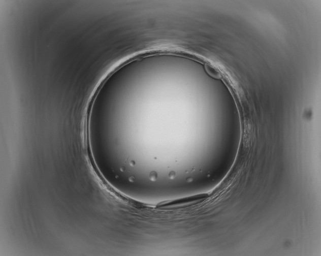 X0000097981295200803241250