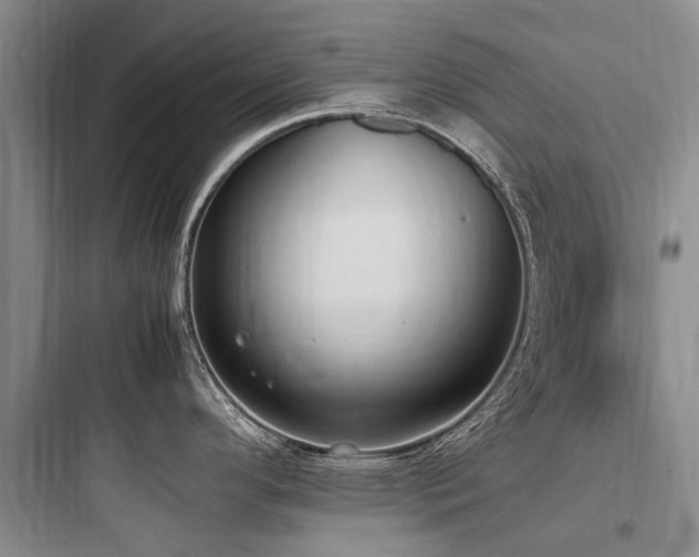 X0000097981296200803241250