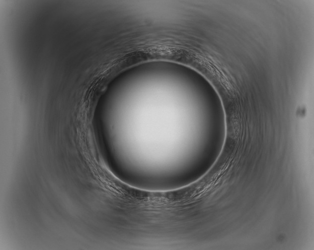 X0000097981297200803241250