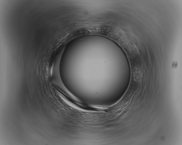 X0000097981298200803241250
