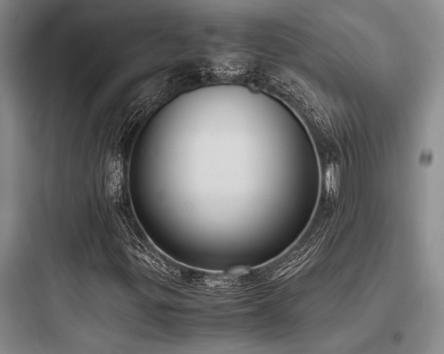 X0000097981299200803241250