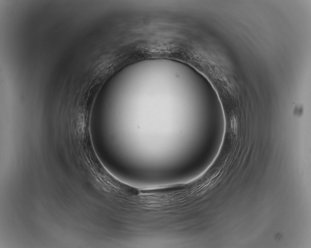 X0000097981300200803241250