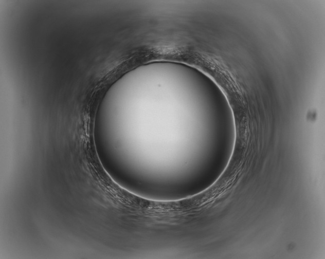 X0000097981301200803241250