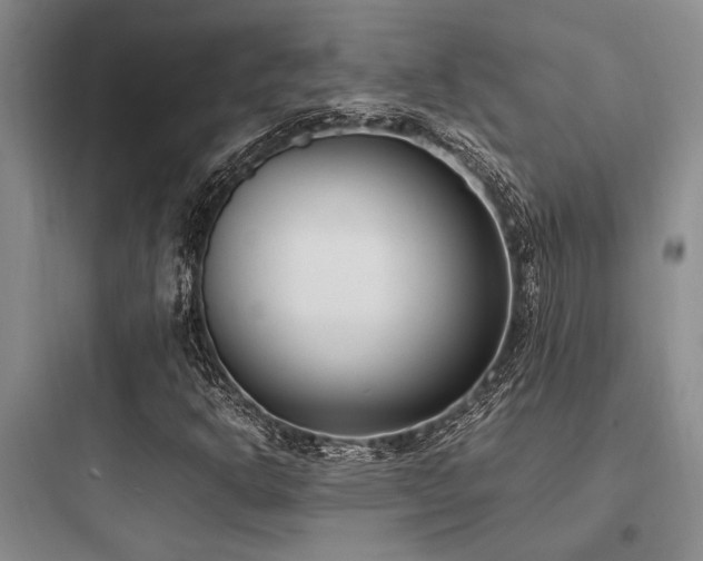 X0000097981302200803241250