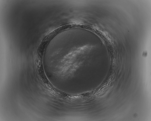 X0000097981303200803241250