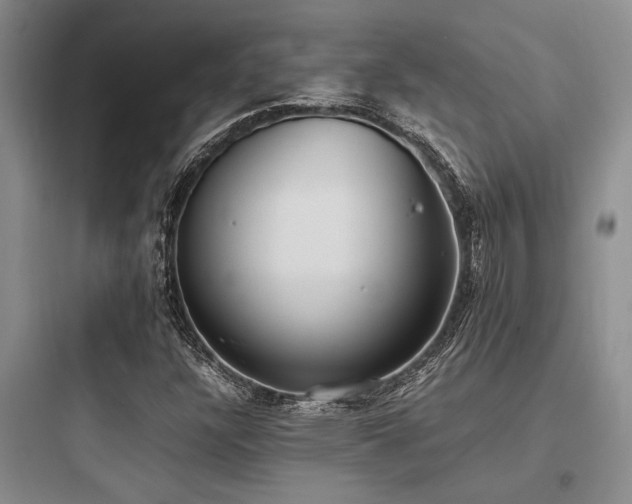 X0000097981304200803241250