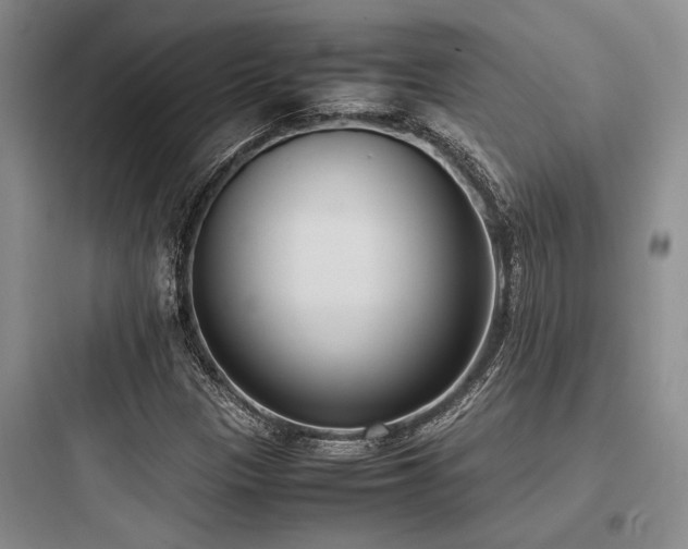 X0000097981305200803241250