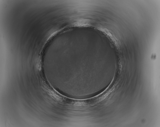 X0000097981306200803241250