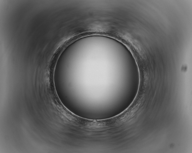 X0000097981307200803241250