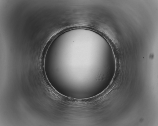 X0000097981308200803241250
