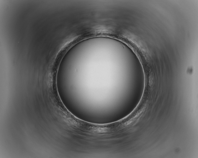 X0000097981309200803241250