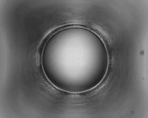 X0000097981310200803241250