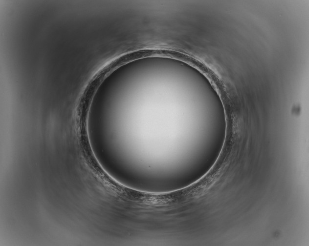 X0000097981311200803241250