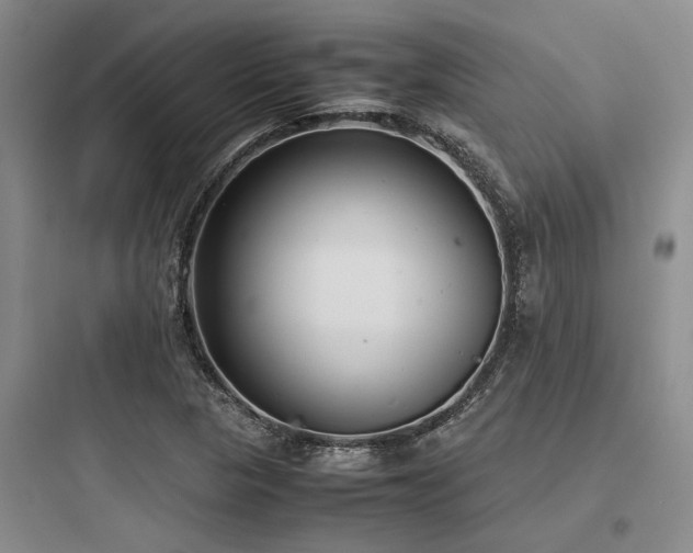 X0000097981313200803241250