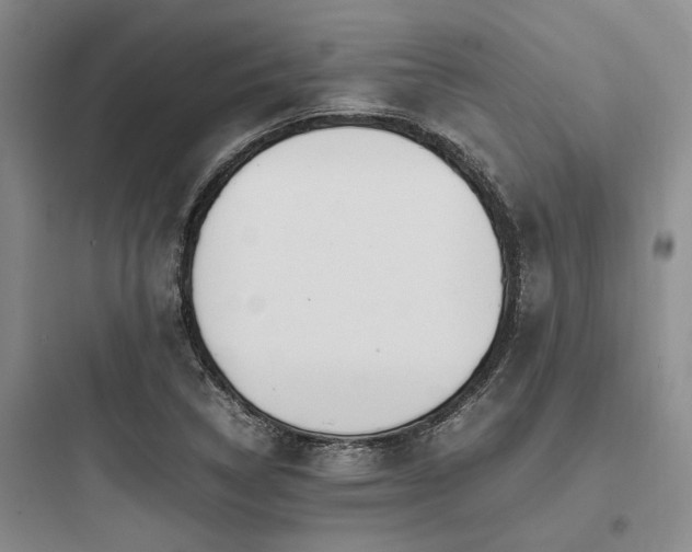 X0000097981314200803241250