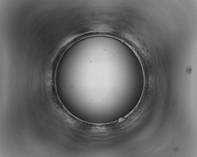 X0000097981315200803241250